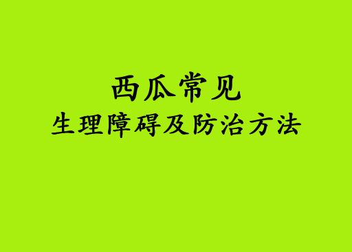 西瓜常見(jiàn)生理障礙及預(yù)防